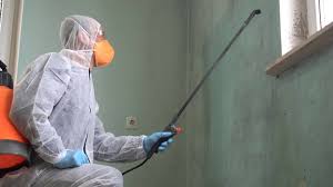 Mold Remediation for Rental Properties in Ogden, KS